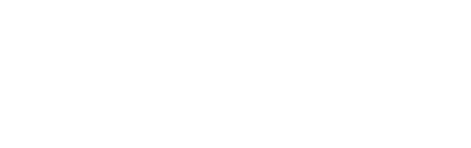 Precise ParkLink